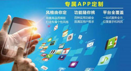 安徽APP开发 如何衡量APP软件定制开发的质量